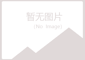 山阳区冰彤服务有限公司